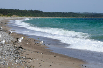 küstenlandschaft in Dänemark