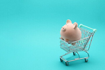 Obraz na płótnie Canvas piggy bank inside miniature shopping cart on color background 