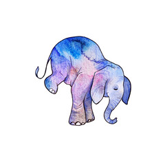 Fototapeta premium Watercolor circus character. Elephant. Isolate. Ideal for children