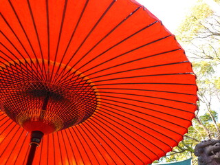 japanese traditional red paper umbrella