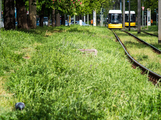Straßenbahn Berlin-Wedding
