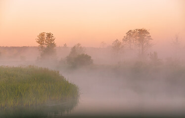 Naklejka premium Beautiful summer sunrise. Trees misty reflection in water
