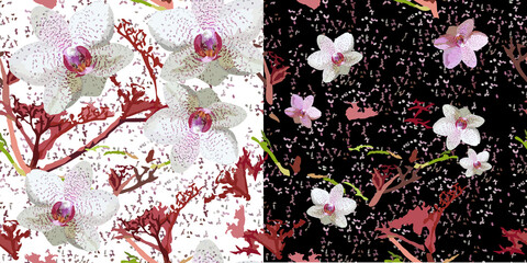 Floral bright seamless pattern with orchids. Set of two vectors with randomly arranged flowers and leaves on a white and black background. For textiles, wallpapers, clothes, decorative surfaces