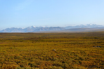 アラスカの草原と山並み