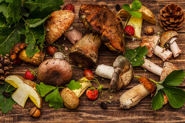 Fresh forest mushrooms. Assorted porcini, boletus, russula, blusher, oak leaves, strawberries