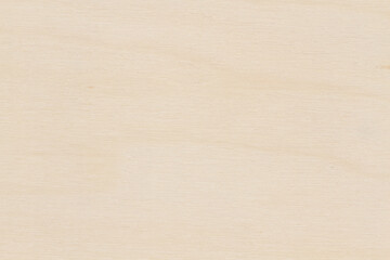 Light unfinished wood with textured material background