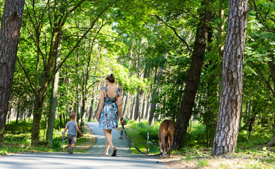 Mother with son and dog walking in the forest on a sunny day. Family togetherness concept. Rhodesian Ridgeback dog walking.