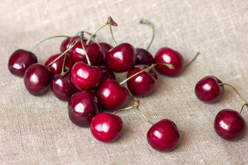 A bunch of red ripe cherries lies on a natural canvas background, copy space for text