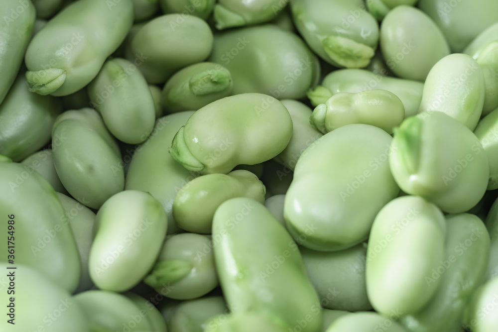 Poster beautiful fresh geen broad beans pattern background texture for design. macro photography view.