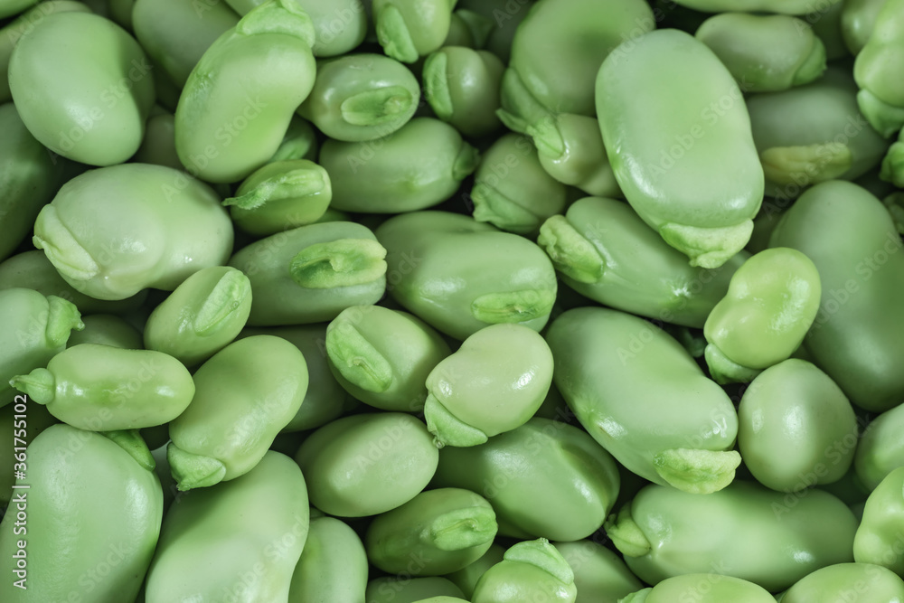 Poster beautiful fresh geen broad beans pattern background texture for design.