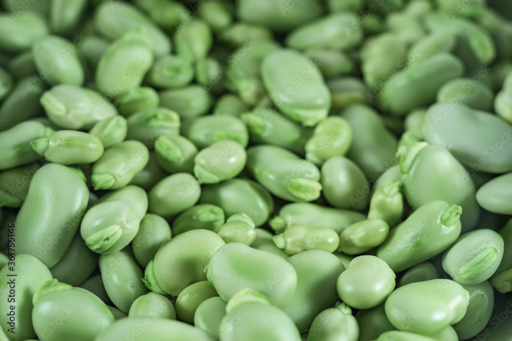 Poster beautiful fresh geen broad beans pattern background texture for design.