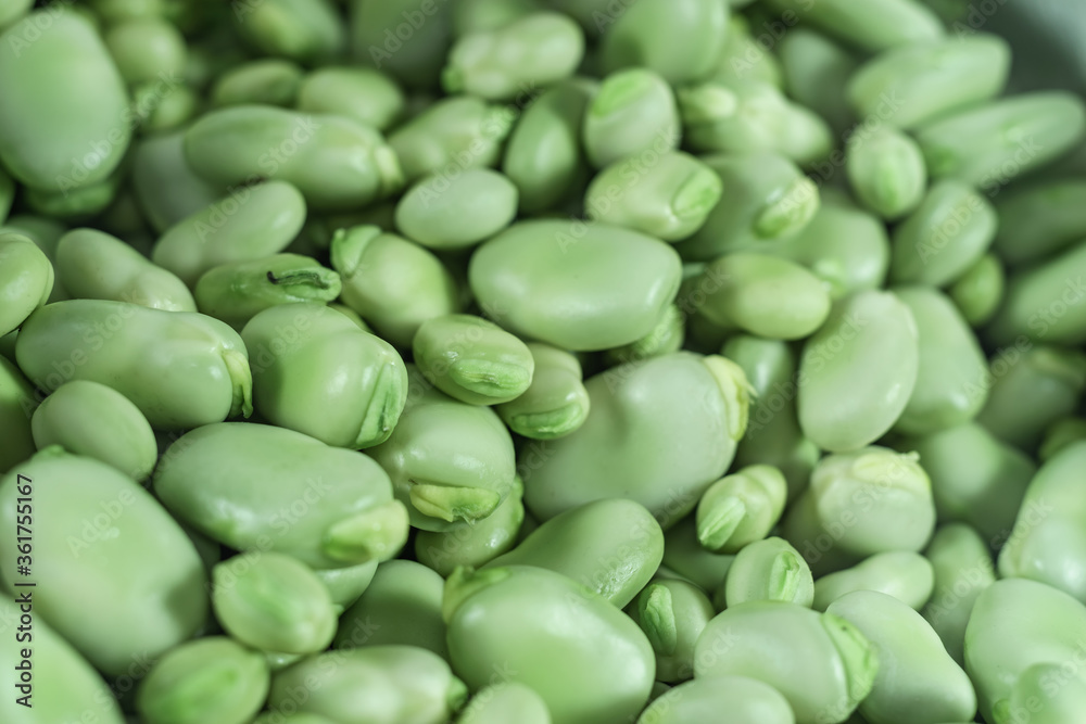 Poster beautiful fresh geen broad beans pattern background texture for design.