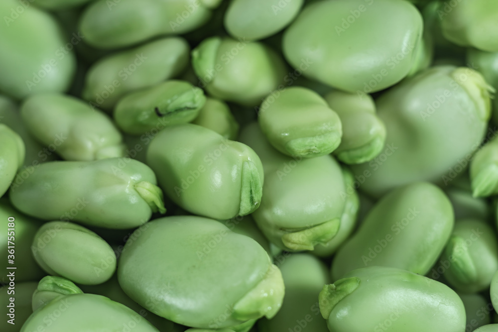 Poster close up beautiful fresh geen broad beans pattern background texture for design.