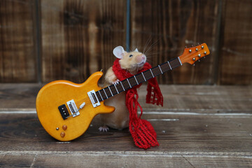 Сute mouse plays guitar, sings. Fun pet fond of music. Talented animal: home musician. Musical mouse celebrate. Mouse rock star on stage gives concert. Postcard with mouse. Talent. Celebration. Song