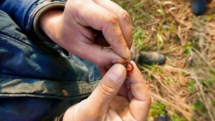 fisherman doing fish bait . A close up