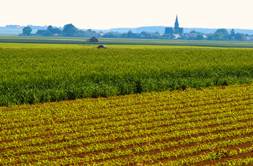 Fototapeta na wymiar champs agricole avec église d'un village en arrière plan, agricultural fields with a village church in the background