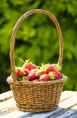 Fototapeta na wymiar fraises