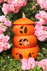 Mouse. Natural orange pumpkins house for Halloween party in pink roses garden. Food art, creative idea. Autumn fairy tale postcard. Fun Halloween animal, pet. Cute mouse, nature. Stay at home, mouse!