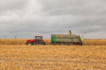 Obraz premium Harvesting of maize grain. Tractor in corn