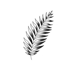 Obraz premium leaf isolated on white