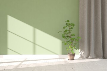 Green minimalist empty room. Scandinavian interior design. 3D illustration