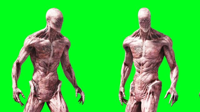 Scary monster animation. Phisical, motion, blur. Realistic 4k animation. Green screen