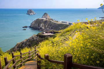 view of the coast of the sea