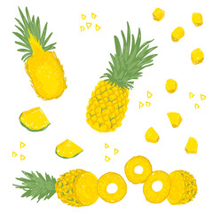 Pineapple vector illustration set. Ananas hand drawn collection. Whole, half pineapple with leaves, cut into pieces. Design template