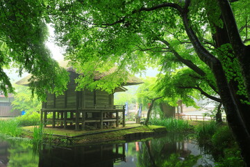 Obraz premium 世界遺産 霧の中尊寺