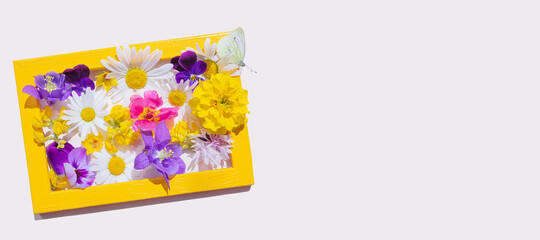 Homemade yellow photo frame with various yellow, purple and pink flowers inside. On the frame sit a light butterfly. Cute summer concept. Image for holiday cards, greetings. Isolated, light background