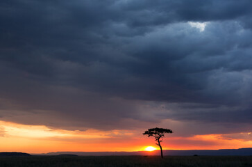 Obraz na płótnie Canvas Beautiful sunset at Masai Mara with dark dense cloud, Kenya