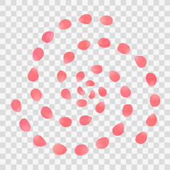 Fresh natural petals in spiral shape on transparent background. Vector.
