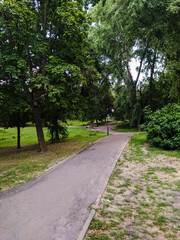 Alley in a summer Park on a Sunny day