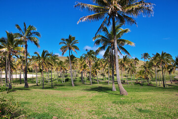 Anakena Beach on Rapa Nu, Easter Island, Chile