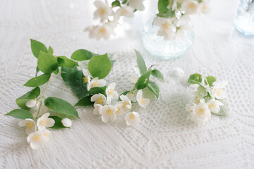 Fototapeta na wymiar White blossom jasmine flowers in vase on the table