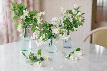 White blossom jasmine flowers in vase on the table