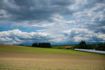 6月美瑛の大地とモクモク雲