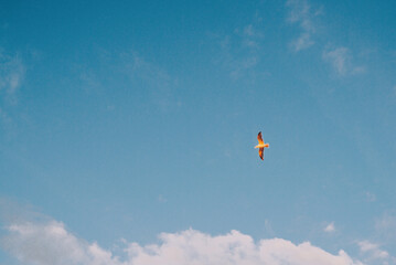 Nordseestrand in Vejers in Dänemark