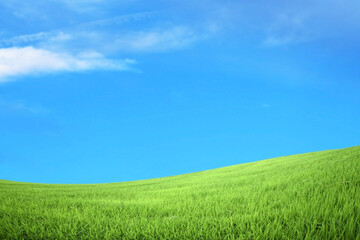 Obraz premium green field and blue sky with clouds