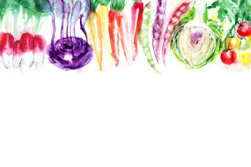 Colorful summer vegetable drawings