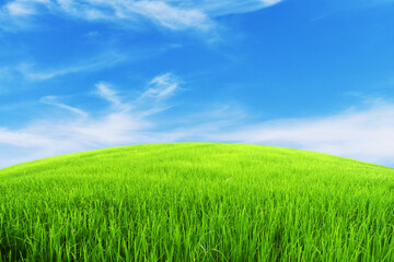 green field and blue sky