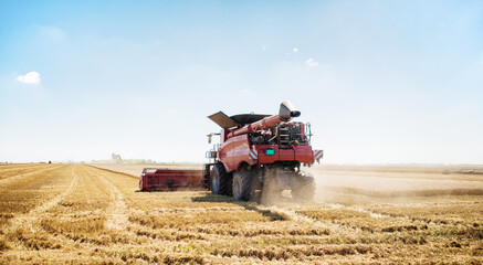 Fototapeta premium Photo of combine harvester that is harvesting wheat with dust straw in the air.