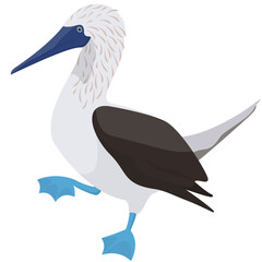 Posing Blue-footed booby. Ocean bird in cartoon style.