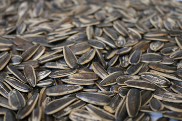 Organic sunflower seed for background uses