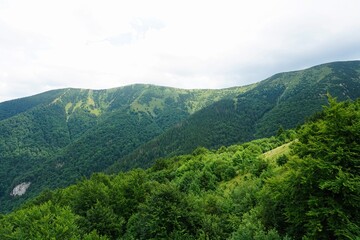 Naklejka premium Mala Fatra mountains panorama in summer, Slovakia