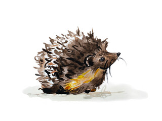 Aquarelle Igel