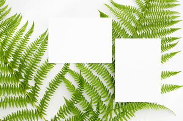 Stationery mockup with green ferns on a white background. In a minimalist style. For wedding invitations, greeting cards or branding