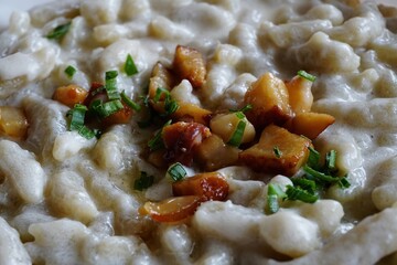 Slovakian traditional food - Bryndzove Halusky with sheep cheese and bacon