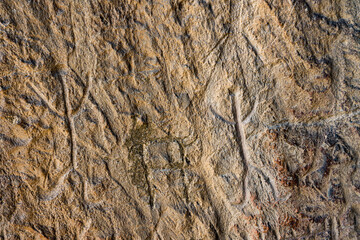 Ancient rock carvings petroglyphs in Gobustan National park. Exposition of Petroglyphs in Gobustan near Baku, Azerbaijan. 