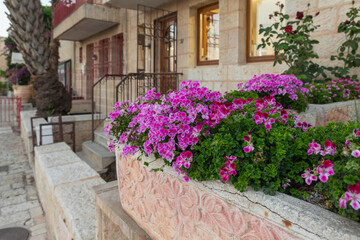 Flowers in flowerpots  near residential buildings on the Ha Tikva Street in the Jerusalem Mishkenot Sheananim - Hutzot Hayotzer quarter in the light of the rays of the setting sun in Jerusalem, Israel